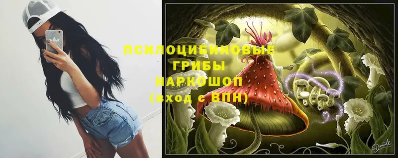 Псилоцибиновые грибы мицелий  Вязьма 